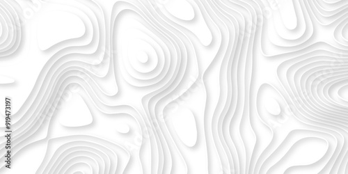 Abstract geometric layered curve line white background. 3d render, paper cut vector art background banner texture. multi layer cutout geometric patterns with smooth wavy layer. white background.
