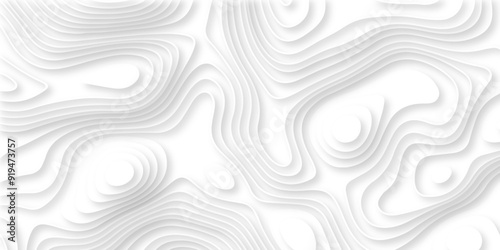 Abstract geometric layered curve line white background. 3d render, paper cut vector art background banner texture. multi layer cutout geometric patterns with smooth wavy layer. white background.