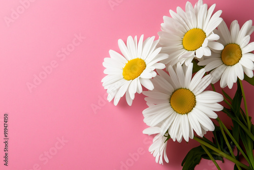 bouquet of daisies on a pink background photo