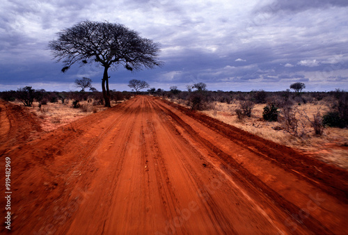 Typical African red dirt road with tree on the left against the background of a dark cloudy sky in Tsavo East national park in Kenya
