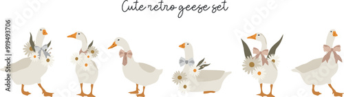 Flat goose with daisiese and bows set illustration. Vector cliparts of domestic birds in retro style. Farming
