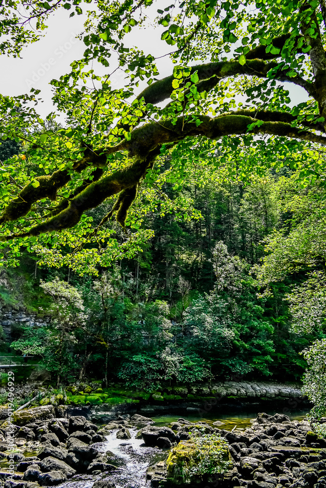 Obraz premium Les Brenets, le lac des Brenets, Felsen, Felswände, Doubs, Fluss, Le Locle, Ausflug, le Saut-du-Doubs, Jura, Juramassiv, Wald, Wanderweg, Sommer, Kanton Neuenburg, Schweiz, Frankreich