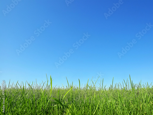 Sfondo panorama di un prato di erba e cielo sereno, regola dei terzi