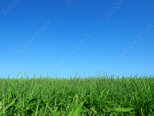Sfondo panorama di un prato di erba e cielo sereno, regola dei terzi