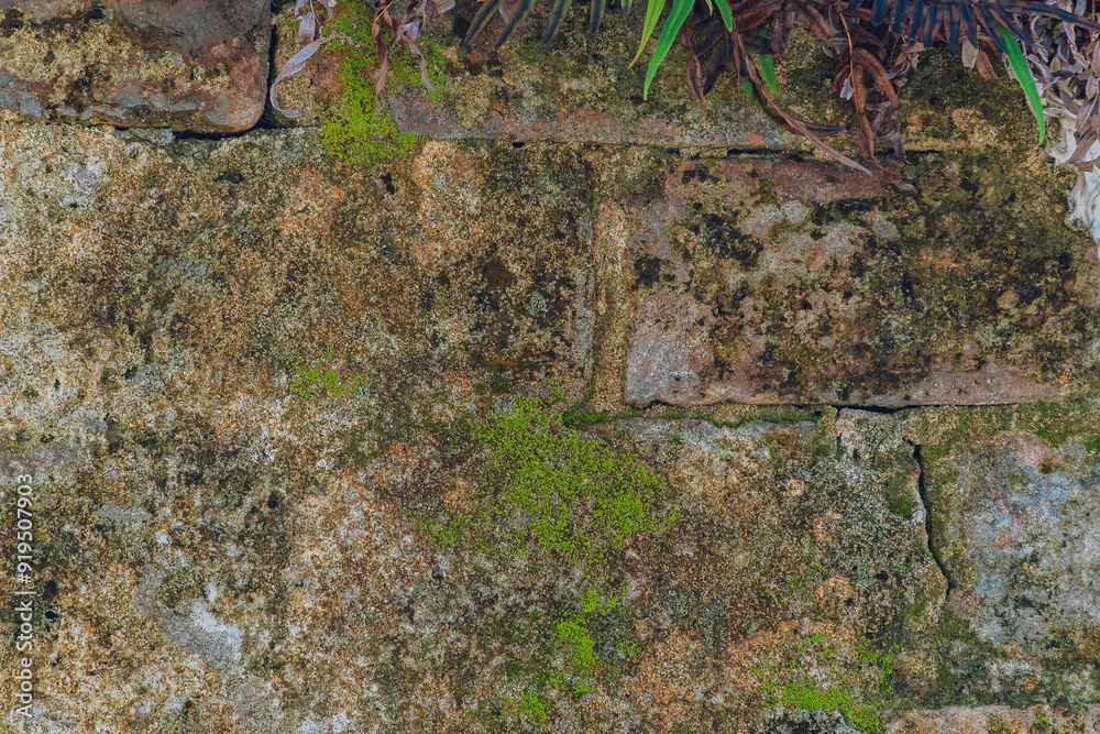 Fototapeta premium Aged Abstract texture