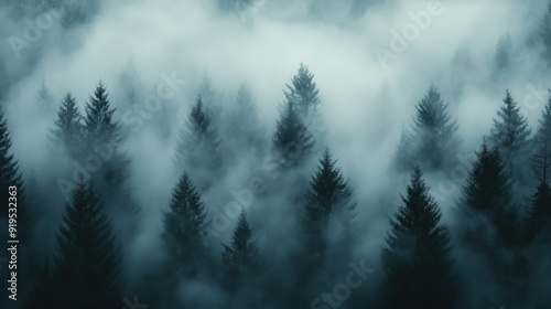 A captivating landscape where dense fog envelops dark pine trees, blending them into the mist; the scene feels dream-like, mystical, and calm, invoking tranquility and wonder.