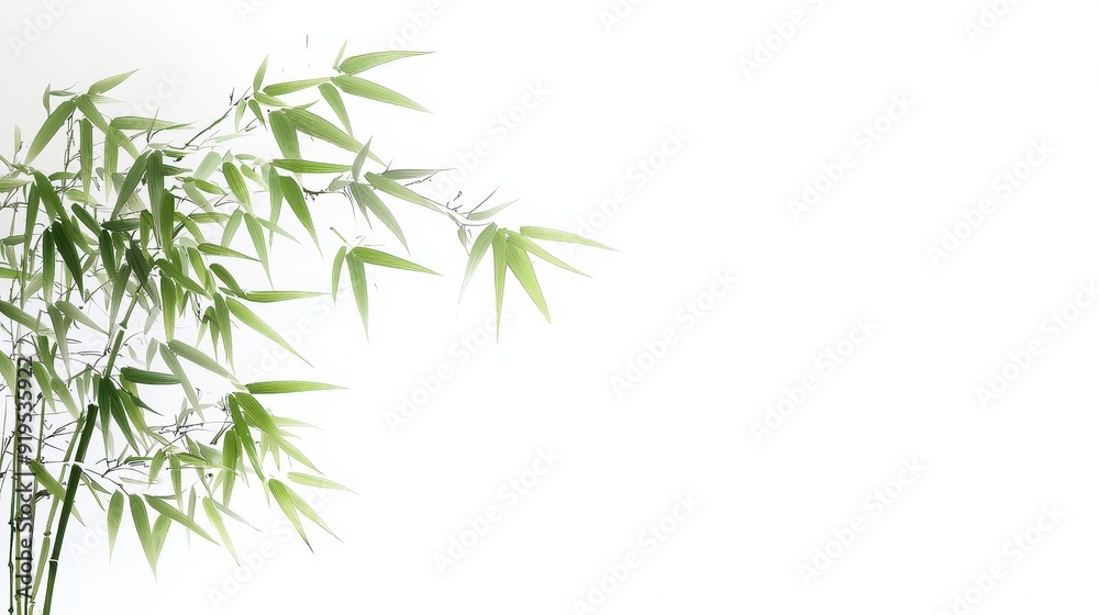 Bamboo Serenity, an elegant depiction of a tranquil bamboo forest rendered in traditional Chinese ink brush style, featuring delicate strokes on a pristine white backdrop. Bamboo Serenity, an elegant depiction of a tranquil bamboo forest rendered in traditional Chinese ink brush style, featuring delicate strokes on a pristine white backdrop.