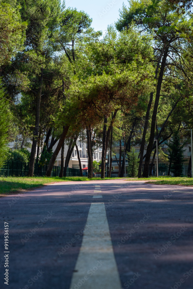 alley in the park modern urbanism green space, trees and footpath for recreation alley in the park modern urbanism green space, trees and footpath for recreation