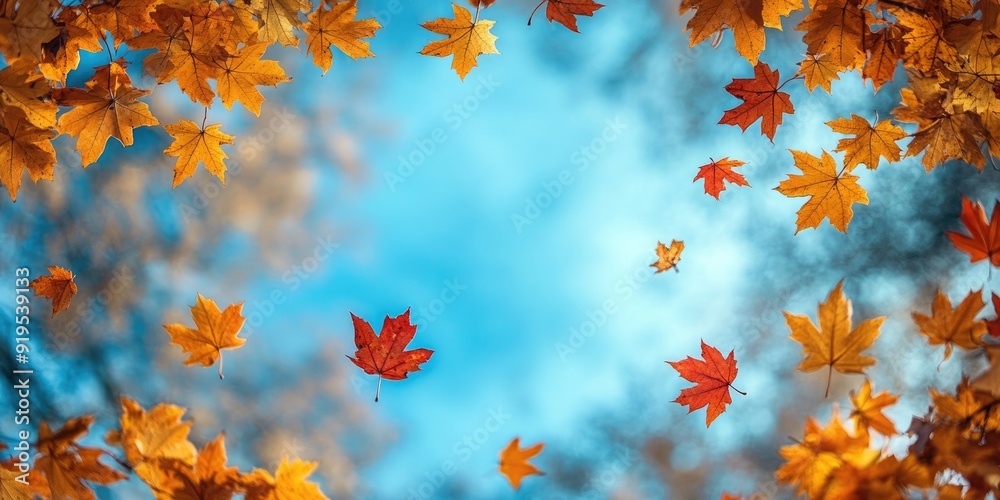 Orange and Red Autumn Leaves Falling Against a Blue Sky Orange and Red Autumn Leaves Falling Against a Blue Sky