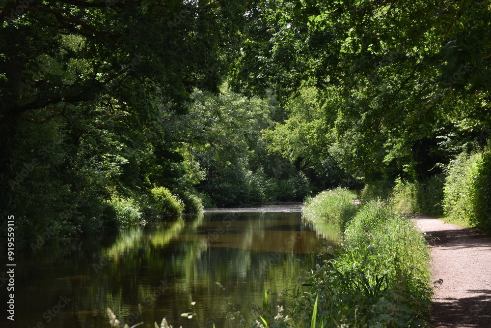 a walk along the grand Western canal in tiverton, Devon a walk along the grand Western canal in tiverton, Devon