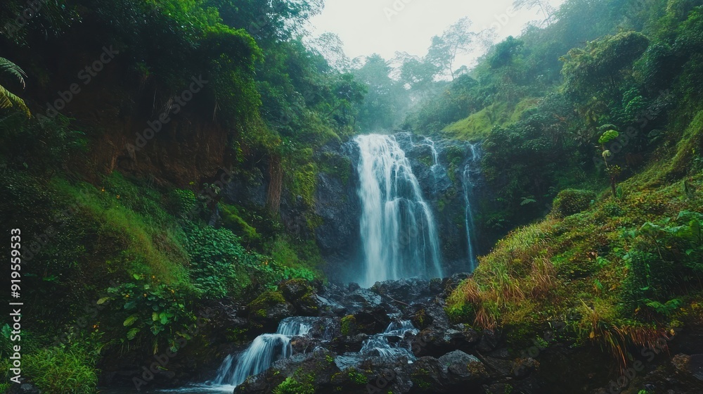 Waterfall in Lush Forest Waterfall in Lush Forest