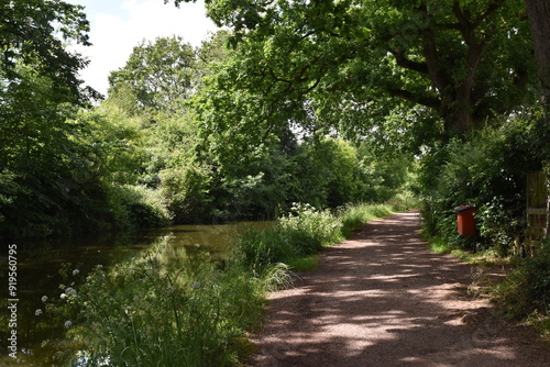 a walk along the grand Western canal in tiverton, Devon photo