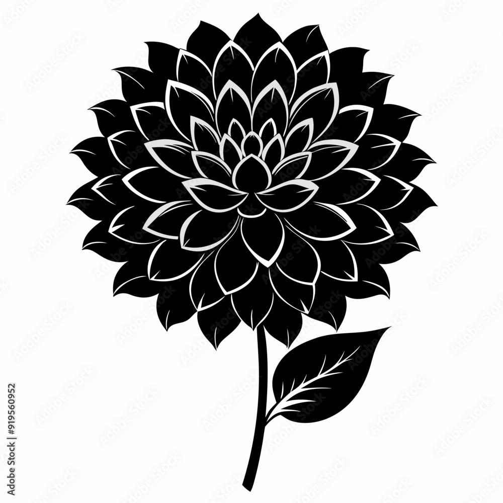 Dahlia Black silhouette Dahlia Black silhouette