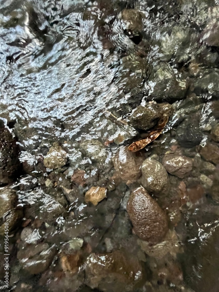 A rock is floating in a stream of water A rock is floating in a stream of water