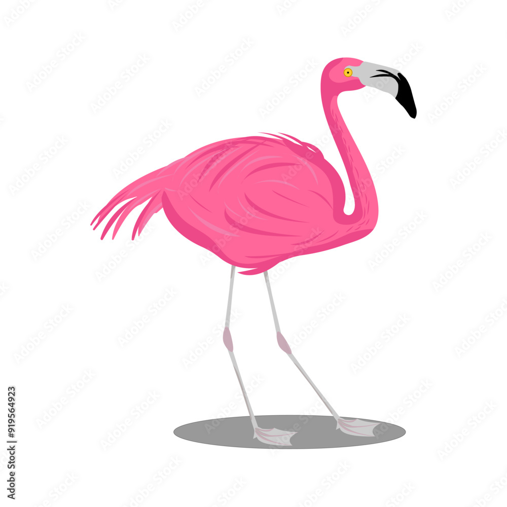 Fototapeta premium pink flamingo stands on one leg in a vector. A tropical bird on a white background.