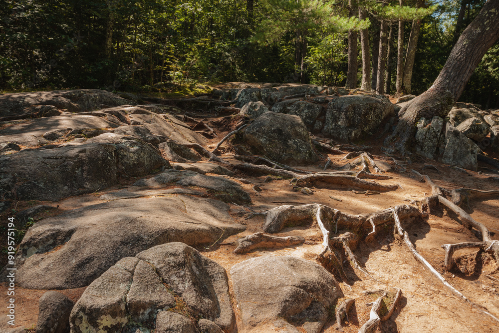 Obraz premium The boulder strewn walkway at Dave's Falls County Park, Marinette County, Wisconsin