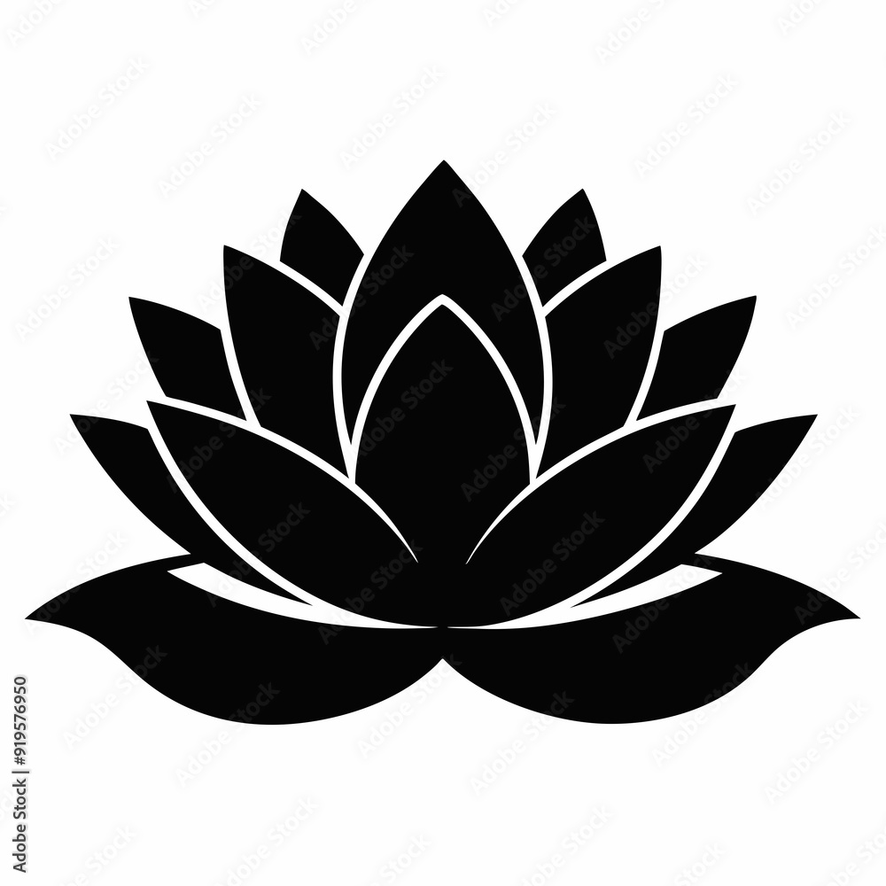 water lily Black silhouette water lily Black silhouette