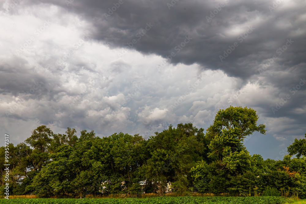 Fototapeta premium storm clouds gather above treeline in late evening