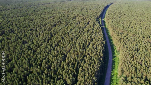 video shot from a drone on the road in the forest among the trees. a car is moving along the road. The camera is high above the ground