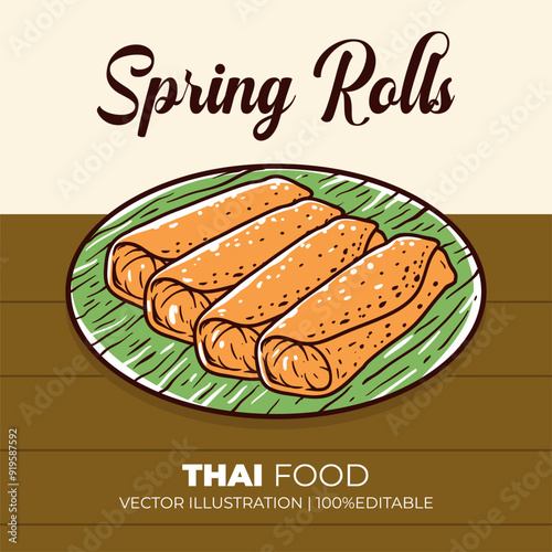Spring Rolls thailand food vector illustration