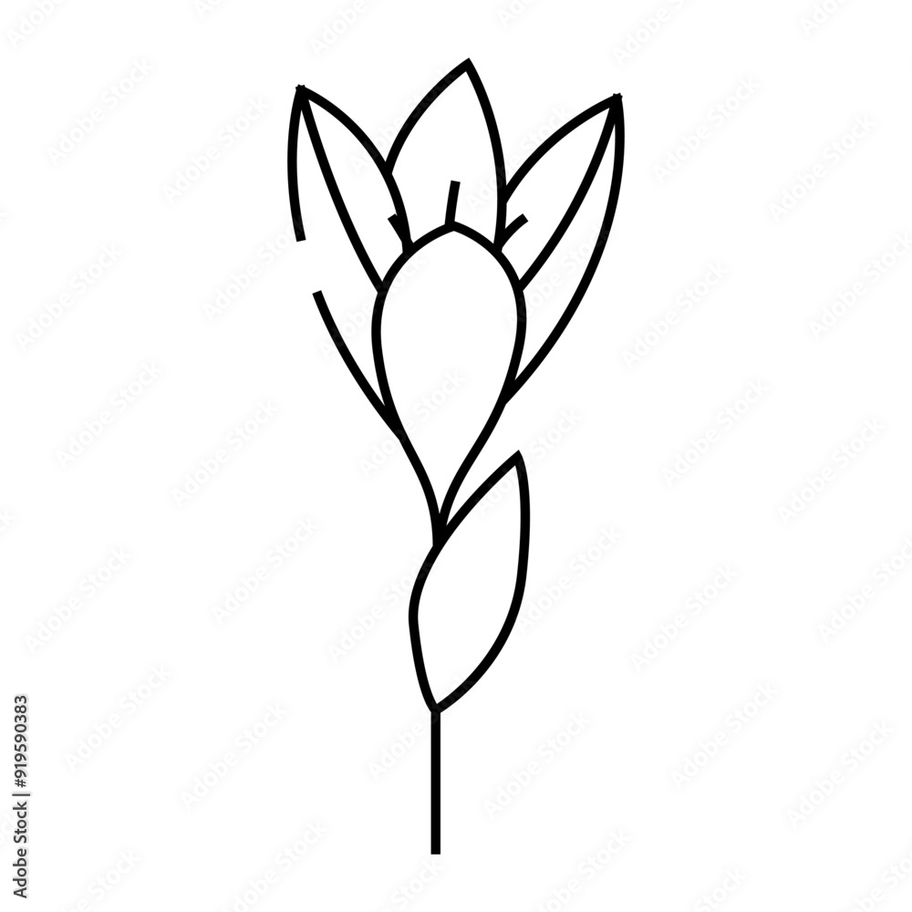 crocus flower spring line icon vector. crocus flower spring sign. isolated contour symbol black illustration crocus flower spring line icon vector. crocus flower spring sign. isolated contour symbol black illustration