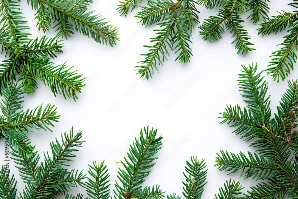 Fresh green pine branches forming a frame on white background, ideal for festive and seasonal decorations Fresh green pine branches forming a frame on white background, ideal for festive and seasonal decorations