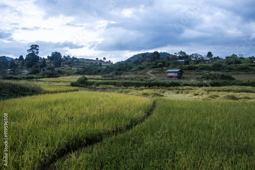 TREK FROM KALAW TO INLE LAKE, MYANMAR (BURMA) - NOVEMBER 7-9, 2016: Tourists walk 3 days from Kalaw to Inle Lake seeing the landscapes of Myanmar. photo