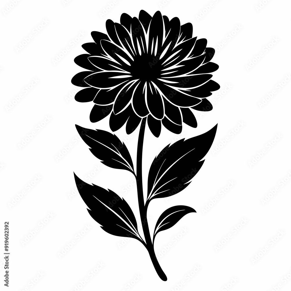 Calendula Black silhouette Calendula Black silhouette
