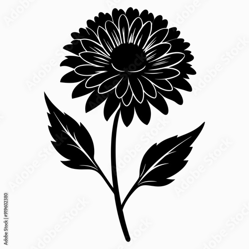 Calendula Black silhouette