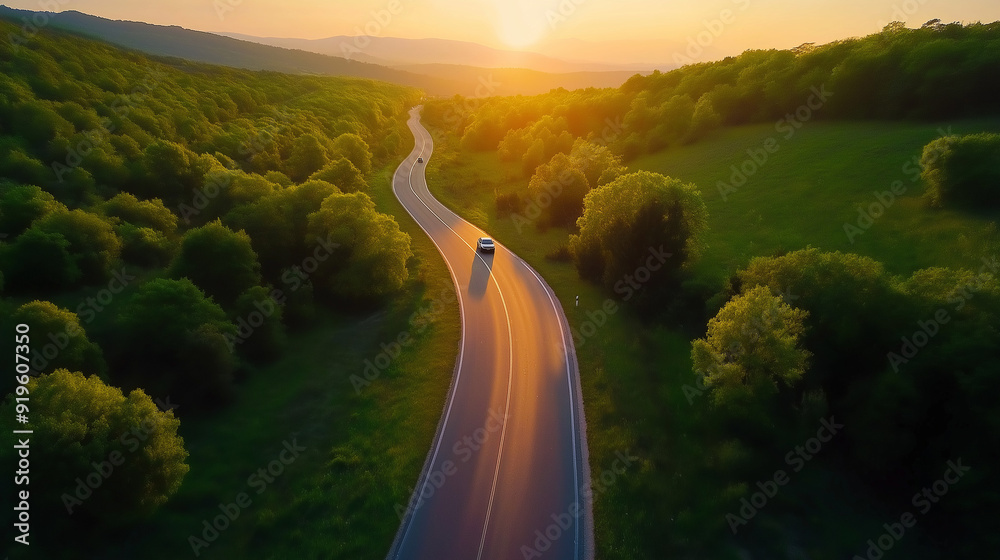 Fototapeta premium a road sounding by trees during sunrise 