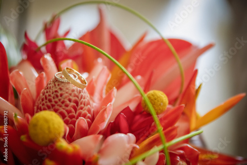 Mariage alliances tropical