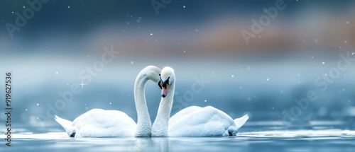Fototapeta Naklejka Na Ścianę i Meble -   A few white swans glide atop a star-studded, snow-dotted lake