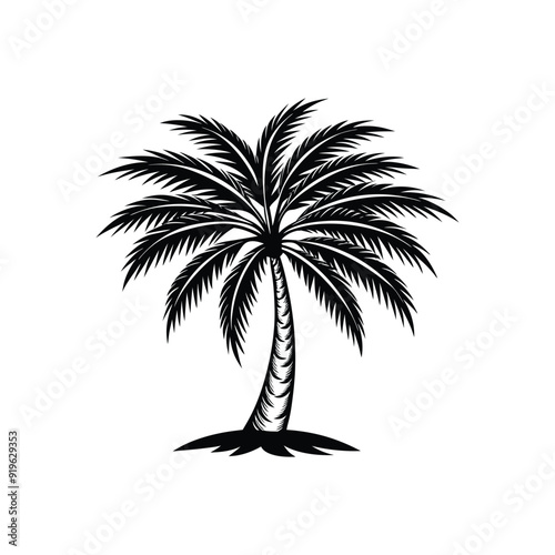 Palm tree vector icon isolated on white background