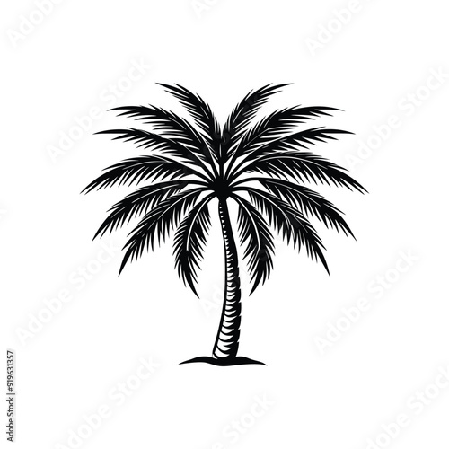 Palm tree vector icon isolated on white background