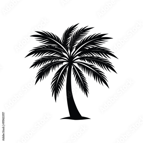 Palm tree vector icon isolated on white background
