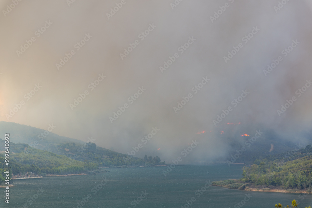Smoke on a forest fire next to the lake