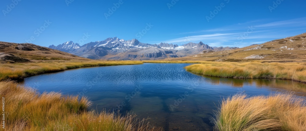 A body of water bordered by tall grasses In the distance, a mountain range with snow-capped peaks A body of water bordered by tall grasses In the distance, a mountain range with snow-capped peaks