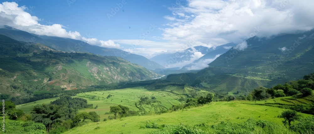 A lush green valley encircled by mountains beneath a blue sky, dotted with white clouds A lush green valley encircled by mountains beneath a blue sky, dotted with white clouds