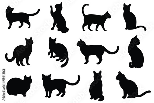 Set of cats Silhouettes on a white background. vector illustration.