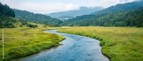  A river flows through a verdant field, bordering a dense forest teeming with abundant green trees