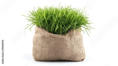 A sackcloth bag overflowing with lush green grass, isolated on a white background, creating a natural yet unnatural juxtaposition.