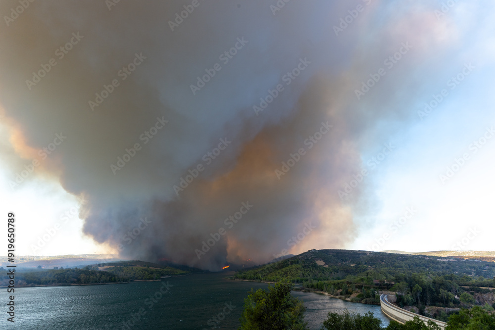 Smoke from a forest fire
