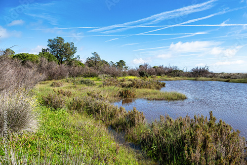 Landscape view of Parque Natural da Ria Formosa near Faro, Portugal