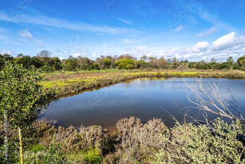 Landscape view of Parque Natural da Ria Formosa near Faro, Portugal
