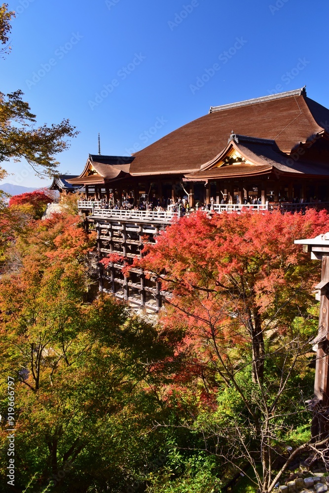 京都の秋　紅葉の清水寺