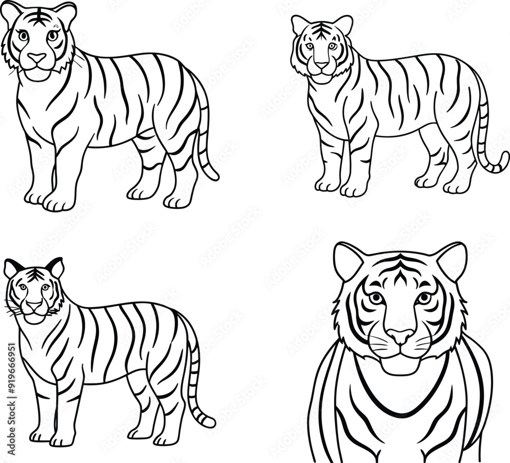 Obraz premium tiger line art coloring page design template