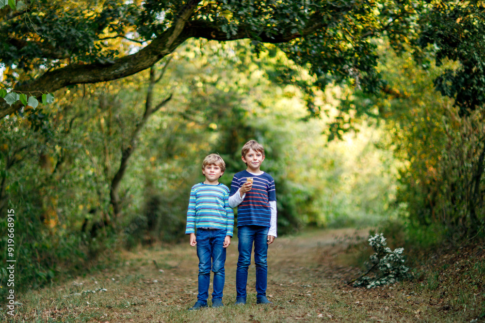 Portrait of little school kids boys sitting in forest. Happy children, best friends and siblings having fun on warm sunny day early autumn. Twins and family, nature and active leisure. Portrait of little school kids boys sitting in forest. Happy children, best friends and siblings having fun on warm sunny day early autumn. Twins and family, nature and active leisure.