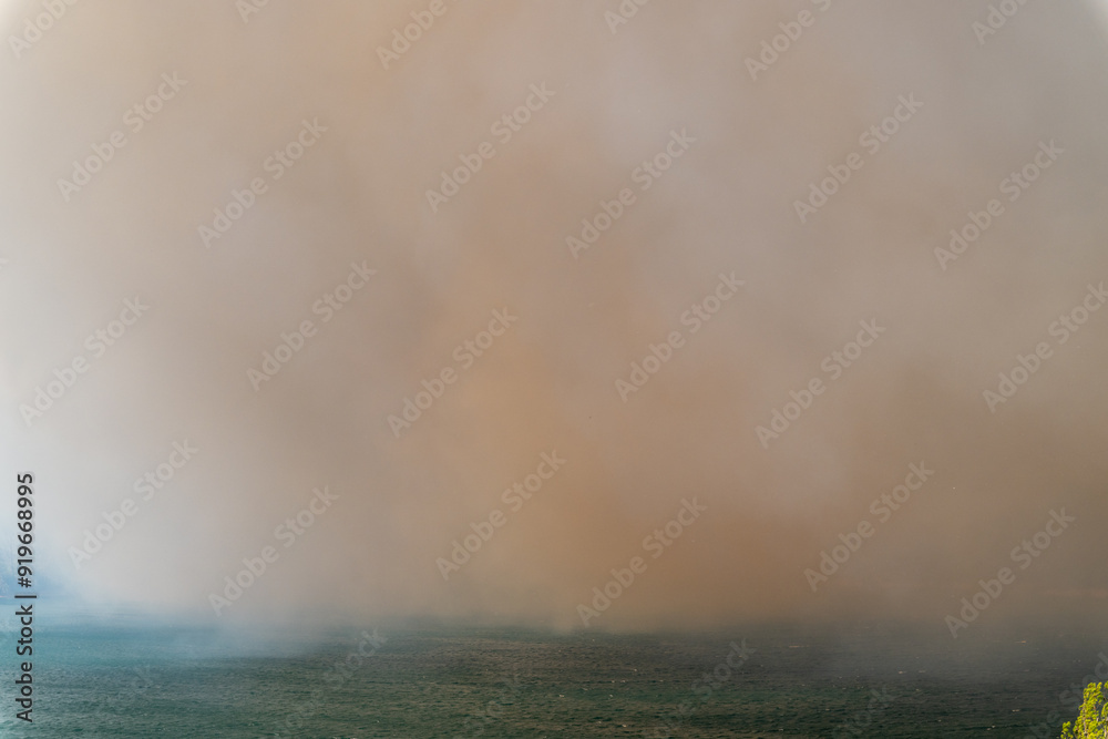 Smoke from a forest fire