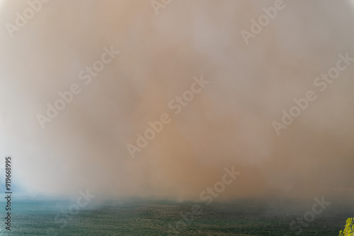 Obraz na płótnie Smoke from a forest fire w salonie