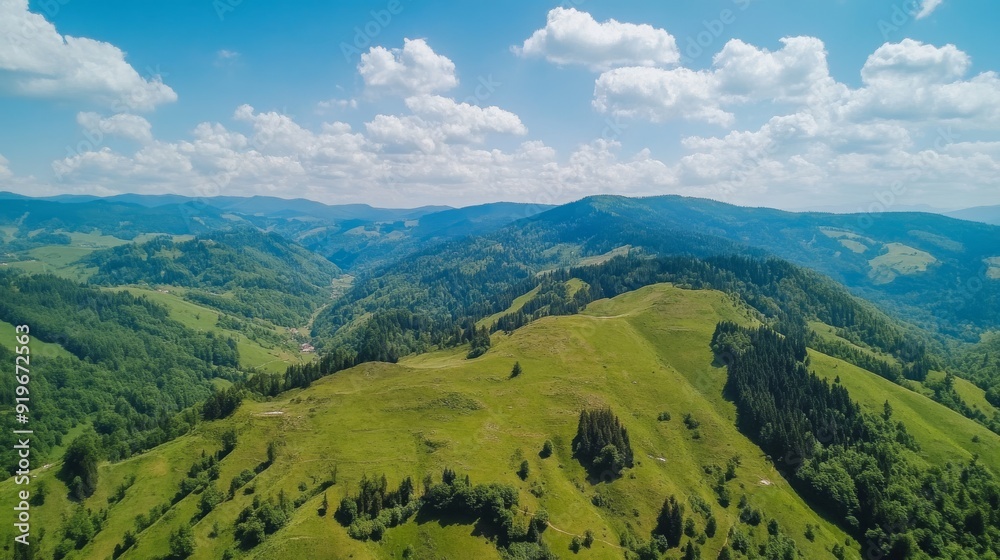 Obraz premium A panoramic view of rolling green hills with scattered trees and a blue sky with fluffy clouds.